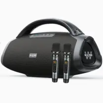 בידורית מקצועית וחזקה W-King דגם D20 עם 200W כולל 2 מייקרופונים ועמידה למים