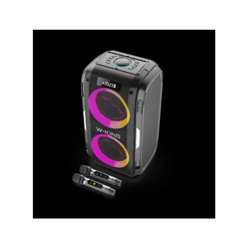 בידורית + 2 מיקרופונים W-KING T9 PRO 120W – תמונה 5